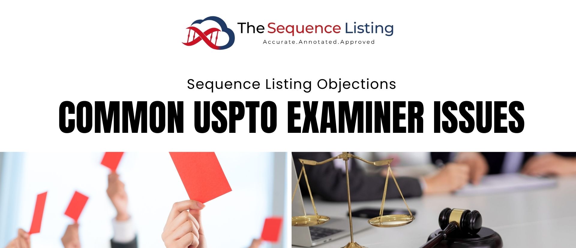 sequence listing examiner objections