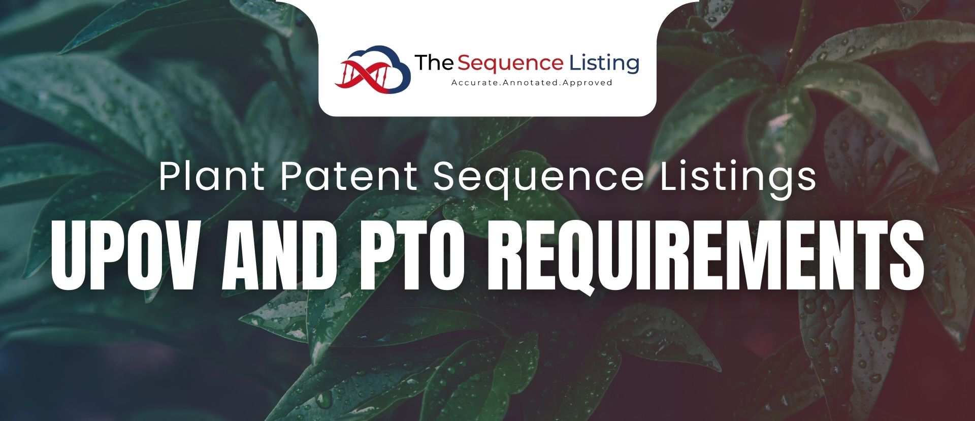Plant Patent Sequence Listing